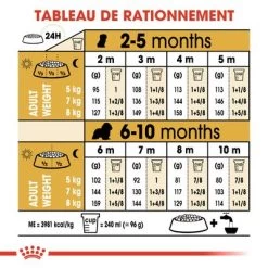 Royal Canin Cavalier King Charles Puppy Pour Chiot -Pet Care Soldes rc bhn puppycavalierkingcharles cm eretailkit 5 fr fr 4