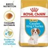 Royal Canin Cavalier King Charles Puppy Pour Chiot -Pet Care Soldes rc bhn puppycavalierkingcharles mv eretailkit fr fr 0