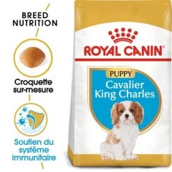Royal Canin Cavalier King Charles Puppy Pour Chiot