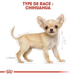 Royal Canin Chihuahua Puppy Pour Chiot -Pet Care Soldes rc bhn puppychihuahua cm eretailkit 4 fr fr 3