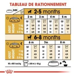 Royal Canin Chihuahua Puppy Pour Chiot -Pet Care Soldes rc bhn puppychihuahua cm eretailkit 5 fr fr 9