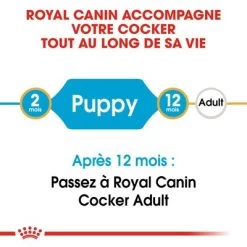 Royal Canin Cocker Puppy Pour Chiot -Pet Care Soldes rc bhn puppycocker cm eretailkit 1 fr fr 9