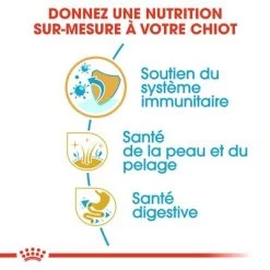 Royal Canin Cocker Puppy Pour Chiot -Pet Care Soldes rc bhn puppycocker cm eretailkit 3 fr fr 1