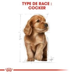 Royal Canin Cocker Puppy Pour Chiot -Pet Care Soldes rc bhn puppycocker cm eretailkit 4 fr fr 5
