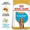 Royal Canin Cocker Puppy Pour Chiot -Pet Care Soldes rc bhn puppycocker mv eretailkit fr fr 9
