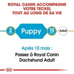 Royal Canin Teckel Puppy Pour Chiot -Pet Care Soldes rc bhn puppydachshund cm eretailkit 1 fr fr 2