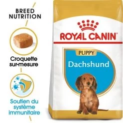 Royal Canin Teckel Puppy Pour Chiot