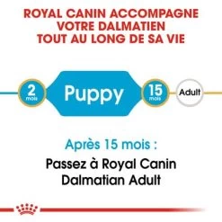 Royal Canin Dalmatien Puppy Pour Chiot -Pet Care Soldes rc bhn puppydalmatian cm eretailkit 1 fr fr 1