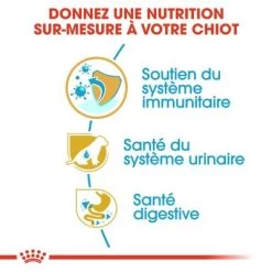 Royal Canin Dalmatien Puppy Pour Chiot -Pet Care Soldes rc bhn puppydalmatian cm eretailkit 3 fr fr 0