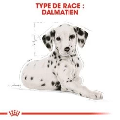 Royal Canin Dalmatien Puppy Pour Chiot -Pet Care Soldes rc bhn puppydalmatian cm eretailkit 4 fr fr 2