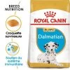 Royal Canin Dalmatien Puppy Pour Chiot -Pet Care Soldes rc bhn puppydalmatian mv eretailkit fr fr 4