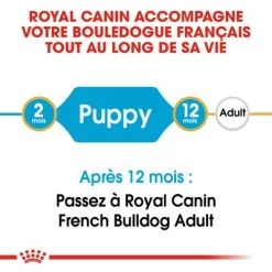 Royal Canin Bouledogue Français Puppy Pour Chiot 17 Royal Canin Bouledogue Français Puppy Pour Chiot -Pet Care Soldes rc bhn puppyfrenchbulldog cm eretailkit 1 fr fr 0