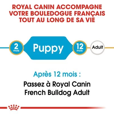 Royal Canin Bouledogue Français Puppy Pour Chiot 10 Royal Canin Bouledogue Français Puppy Pour Chiot – Image 8
