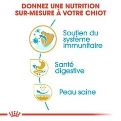 Royal Canin Bouledogue Français Puppy Pour Chiot 14 Royal Canin Bouledogue Français Puppy Pour Chiot -Pet Care Soldes rc bhn puppyfrenchbulldog cm eretailkit 3 fr fr 6