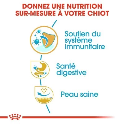 Royal Canin Bouledogue Français Puppy Pour Chiot 7 Royal Canin Bouledogue Français Puppy Pour Chiot – Image 5