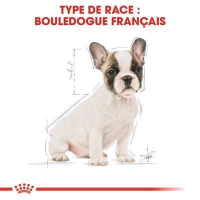 Royal Canin Bouledogue Français Puppy Pour Chiot 8 Royal Canin Bouledogue Français Puppy Pour Chiot – Image 6