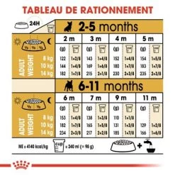 Royal Canin Bouledogue Français Puppy Pour Chiot 16 Royal Canin Bouledogue Français Puppy Pour Chiot -Pet Care Soldes rc bhn puppyfrenchbulldog cm eretailkit 5 fr fr 5