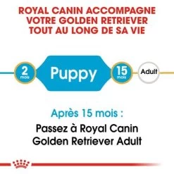 Royal Canin Golden Retriever Puppy Pour Chiot -Pet Care Soldes rc bhn puppygoldenretriever cm eretailkit 1 fr fr 3