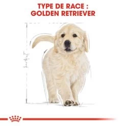 Royal Canin Golden Retriever Puppy Pour Chiot -Pet Care Soldes rc bhn puppygoldenretriever cm eretailkit 4 fr fr 9