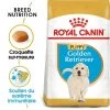 Royal Canin Golden Retriever Puppy Pour Chiot -Pet Care Soldes rc bhn puppygoldenretriever mv eretailkit fr fr 1