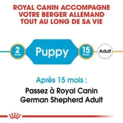 Royal Canin Berger Allemand Puppy Pour Chiot -Pet Care Soldes rc bhn puppygs cm eretailkit 1 fr fr 8