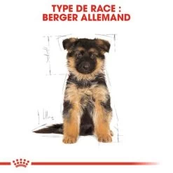 Royal Canin Berger Allemand Puppy Pour Chiot -Pet Care Soldes rc bhn puppygs cm eretailkit 4 fr fr 6