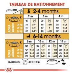 Royal Canin Berger Allemand Puppy Pour Chiot -Pet Care Soldes rc bhn puppygs cm eretailkit 5 fr fr 4