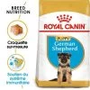 Royal Canin Berger Allemand Puppy Pour Chiot -Pet Care Soldes rc bhn puppygs mv eretailkit fr fr 3