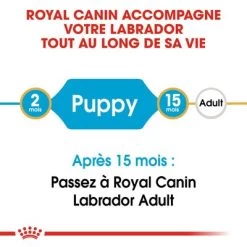Royal Canin Labrador Retriever Puppy Pour Chiot -Pet Care Soldes rc bhn puppylabradorretriever cm eretailkit 1 fr fr 7