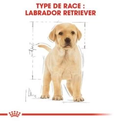 Royal Canin Labrador Retriever Puppy Pour Chiot -Pet Care Soldes rc bhn puppylabradorretriever cm eretailkit 4 fr fr 8