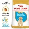 Royal Canin Labrador Retriever Puppy Pour Chiot -Pet Care Soldes rc bhn puppylabradorretriever mv eretailkit fr fr 3