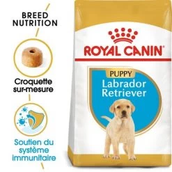 Royal Canin Labrador Retriever Puppy Pour Chiot