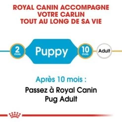 Royal Canin Carlin Puppy Pour Chiot -Pet Care Soldes rc bhn puppypug cm eretailkit 1 fr fr 5