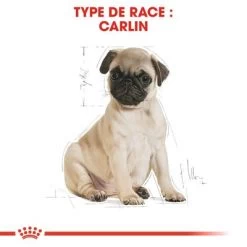 Royal Canin Carlin Puppy Pour Chiot -Pet Care Soldes rc bhn puppypug cm eretailkit 4 fr fr 5