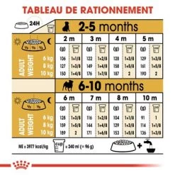 Royal Canin Carlin Puppy Pour Chiot -Pet Care Soldes rc bhn puppypug cm eretailkit 5 fr fr 5