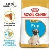 Royal Canin Carlin Puppy Pour Chiot