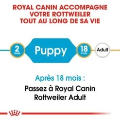 Royal Canin Rottweiler Puppy Pour Chiot 17 Royal Canin Rottweiler Puppy Pour Chiot -Pet Care Soldes rc bhn puppyrottweiler cm eretailkit 1 fr fr 2