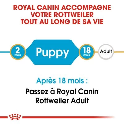 Royal Canin Rottweiler Puppy Pour Chiot 10 Royal Canin Rottweiler Puppy Pour Chiot – Image 8