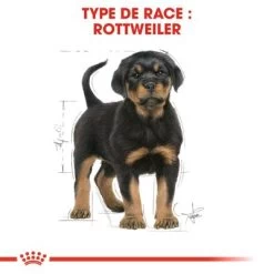 Royal Canin Rottweiler Puppy Pour Chiot 15 Royal Canin Rottweiler Puppy Pour Chiot -Pet Care Soldes rc bhn puppyrottweiler cm eretailkit 4 fr fr 4