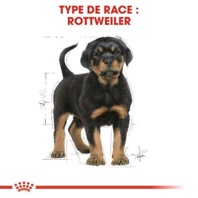 Royal Canin Rottweiler Puppy Pour Chiot 8 Royal Canin Rottweiler Puppy Pour Chiot – Image 6