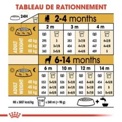 Royal Canin Rottweiler Puppy Pour Chiot 16 Royal Canin Rottweiler Puppy Pour Chiot -Pet Care Soldes rc bhn puppyrottweiler cm eretailkit 5 fr fr 3