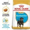 Royal Canin Rottweiler Puppy Pour Chiot -Pet Care Soldes rc bhn puppyrottweiler mv eretailkit fr fr 7
