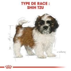 Royal Canin Shih Tzu Puppy Pour Chiot -Pet Care Soldes rc bhn puppyshihtzu cm eretailkit 4 fr fr 1