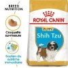 Royal Canin Shih Tzu Puppy Pour Chiot