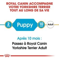 Royal Canin Yorkshire Terrier Puppy Pour Chiot 17 Royal Canin Yorkshire Terrier Puppy Pour Chiot -Pet Care Soldes rc bhn puppyyorkshire cm eretailkit 1 fr fr 9