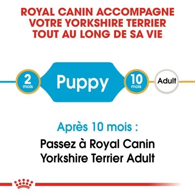 Royal Canin Yorkshire Terrier Puppy Pour Chiot 10 Royal Canin Yorkshire Terrier Puppy Pour Chiot – Image 8