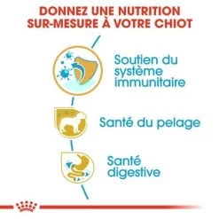 Royal Canin Yorkshire Terrier Puppy Pour Chiot 14 Royal Canin Yorkshire Terrier Puppy Pour Chiot -Pet Care Soldes rc bhn puppyyorkshire cm eretailkit 3 fr fr 8