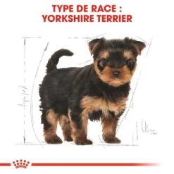 Royal Canin Yorkshire Terrier Puppy Pour Chiot 15 Royal Canin Yorkshire Terrier Puppy Pour Chiot -Pet Care Soldes rc bhn puppyyorkshire cm eretailkit 4 fr fr 5