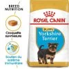 Royal Canin Yorkshire Terrier Puppy Pour Chiot -Pet Care Soldes rc bhn puppyyorkshire mv eretailkit fr fr 9
