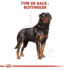 Royal Canin Rottweiler Adult Pour Chien -Pet Care Soldes rc bhn rottweiler cv eretailkit 1 fr fr 3